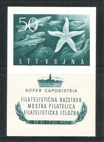 Trieste zona 1952 - b, vita